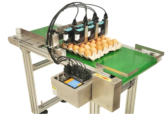 1516349935925613.jpg 主1.jpg