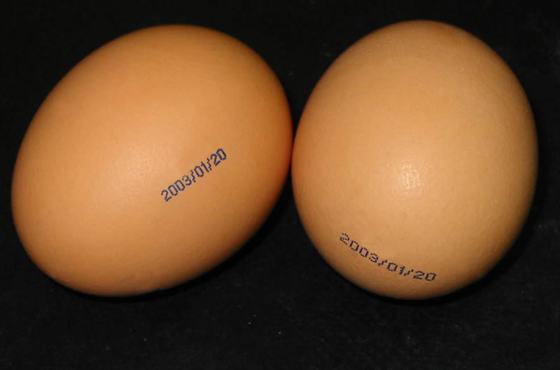 1521703281714757.jpg 20087148531823490.jpg